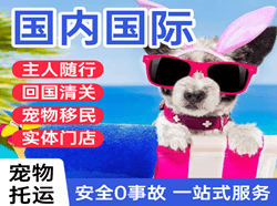 若羌楼兰空运国际宠物托运 【国